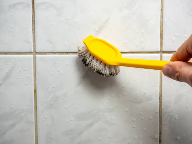 Best Mold Cleaning Services  in Tatamy, PA